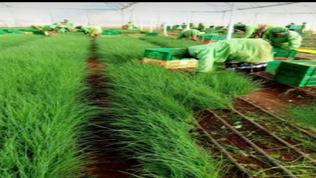 Experience + Freshness