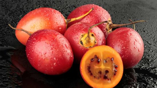 Tree Tomato